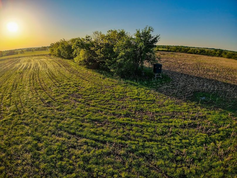 DJI_20260419072417_0279_D