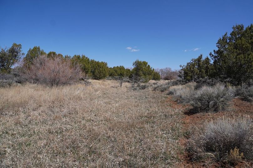 DSC01837