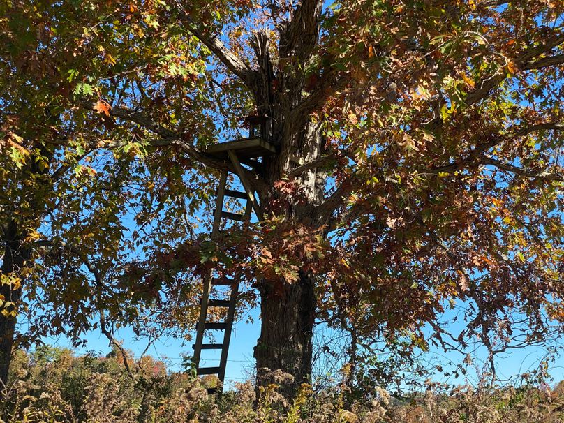 025 old hand built treestand in a corner oak copy