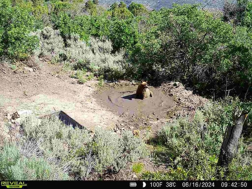 860516060007964-100-2-06162024094250-V-W1001348