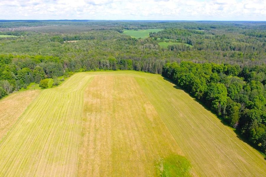 DJI_0029