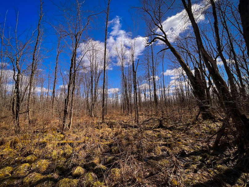 Oswego_165.52_Lashomb_Photos_9