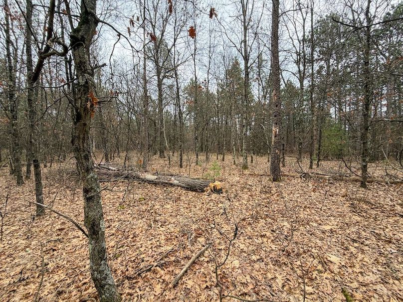 Juneau 1.53 Northgate-8