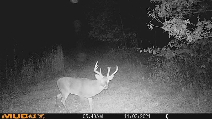 Sauk 174 Trailcam - 48