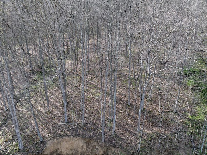 DJI_20260416165728_0051_D-Edit