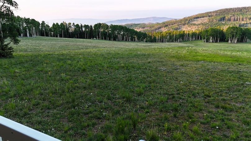 DJI_20250628062923_0119_D