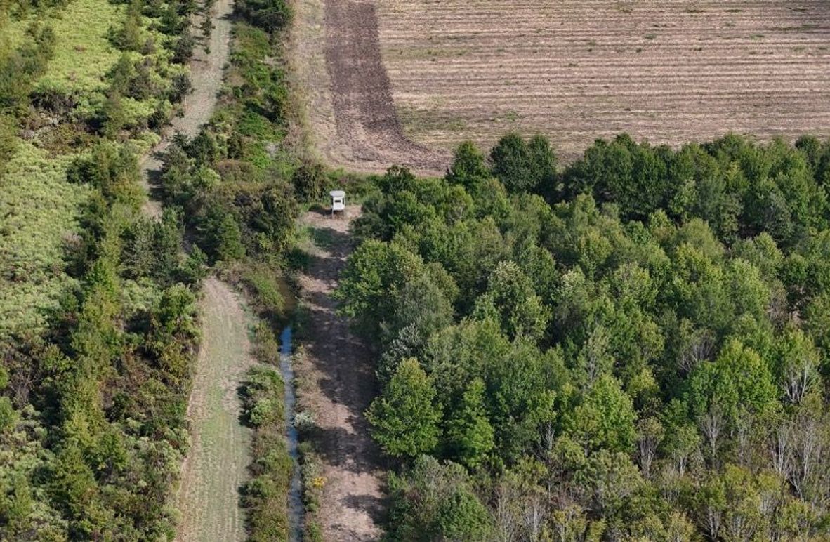 DJI_20251009043620_0781_D (1)