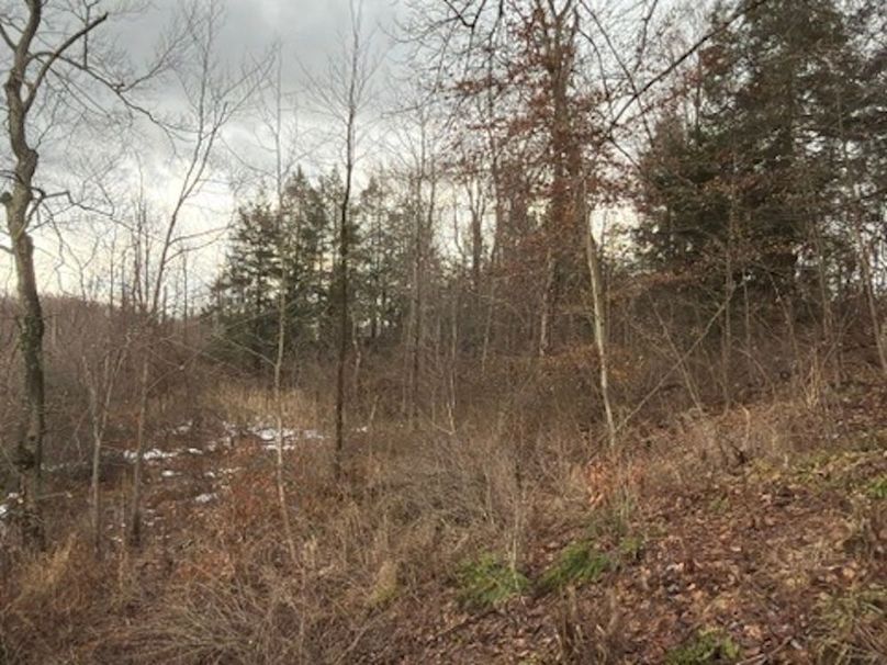 8983778B-6CF6-49B6-8D4F-4FCF961541DD_4_5005_c