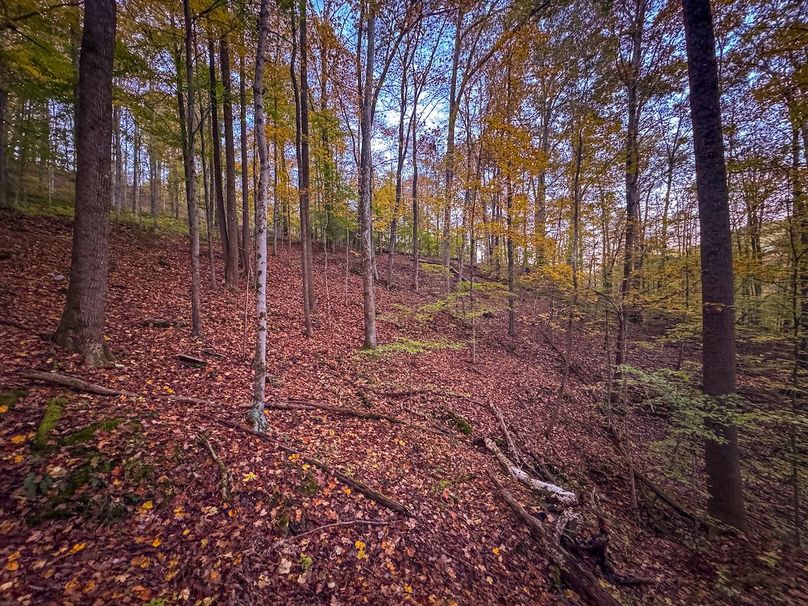 Wirt, WV 43 AC Berry-17