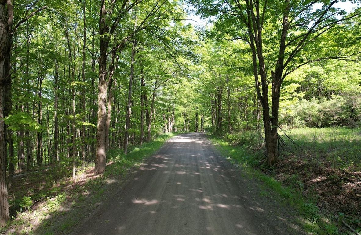 Chemung_116.3_Stamm Photo 4