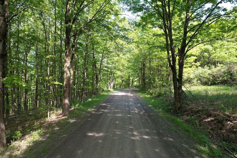 Chemung_116.3_Stamm Photo 4