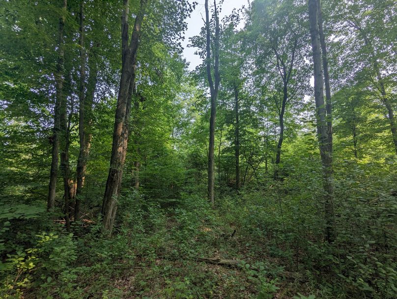 PXL_20230801_150450231