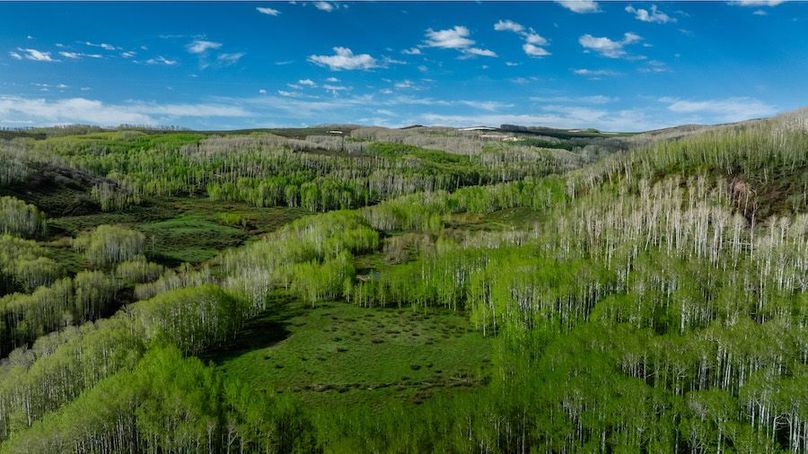 DJI_0577-HDR