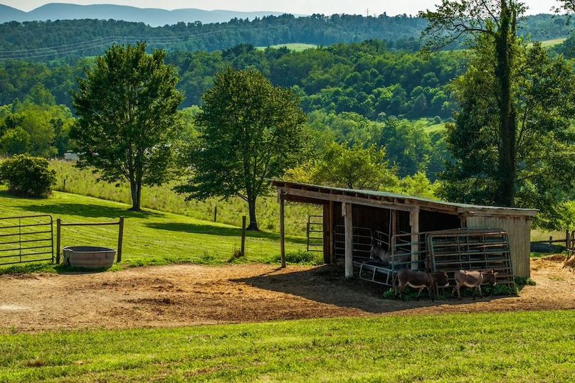 23-web-or-mls-IMG-21