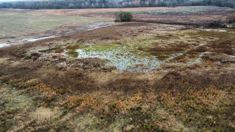 dji_fly_20251121_105602_521_1764710159853_photo_optimized