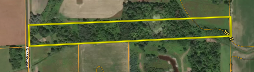 Screen Shot 2025-10-09 at 12.45.03 PM