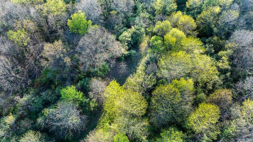 DJI_20260406181447_0009_D