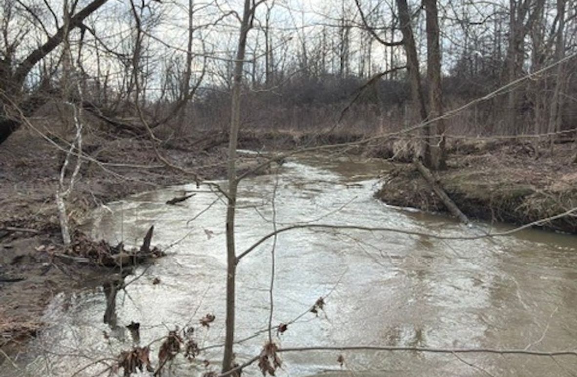 4B8DA3CF-D6E6-4394-ABA8-47D10F0FAF83_4_5005_c