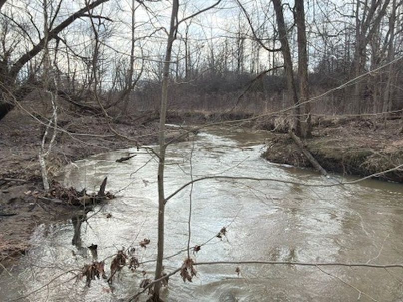 4B8DA3CF-D6E6-4394-ABA8-47D10F0FAF83_4_5005_c