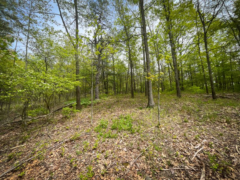 Chemung_44.5_ Briggs _Photos_50