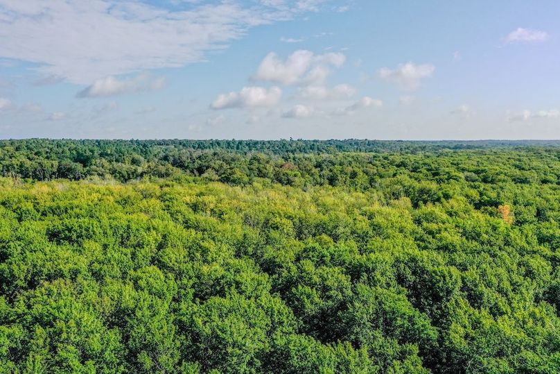 10 Leon Co. 117ac-11