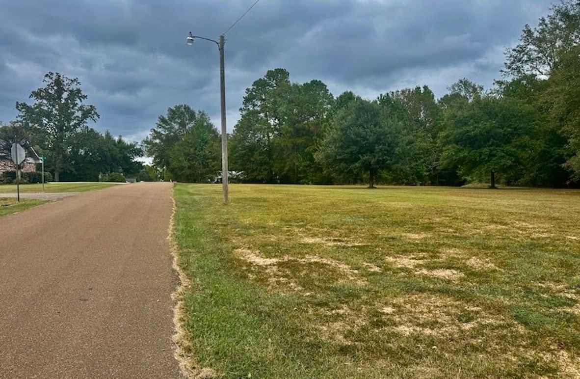 2FA657EC-CDC8-418F-8007-1DC3CA6B09F1_1_201_a