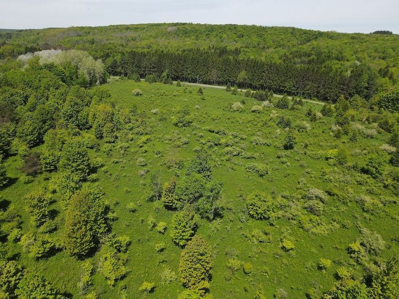 DJI_0430