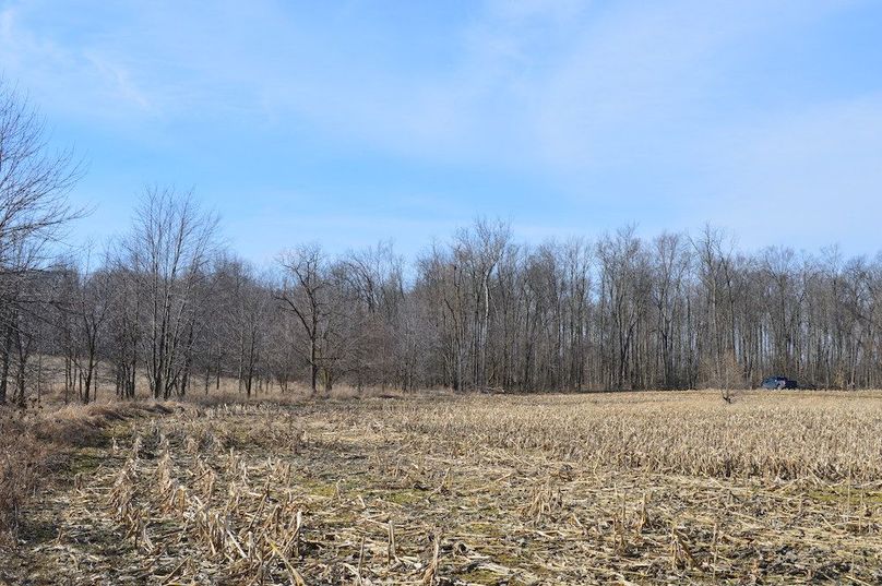 view along southern creek bottom