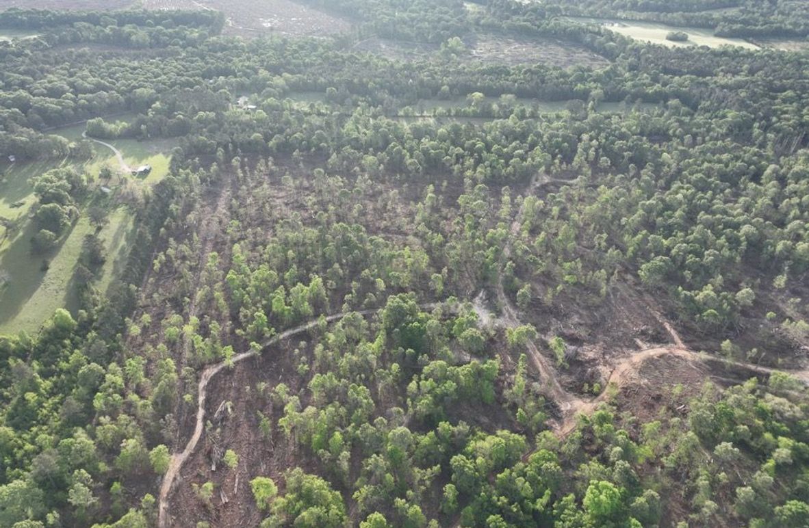 dji_fly_20260407_083126_344_1775580375932_photo