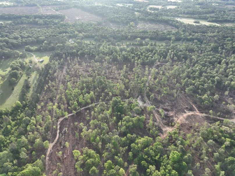 dji_fly_20260407_083126_344_1775580375932_photo