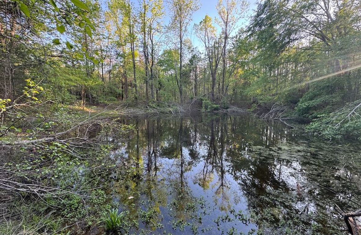 Tallahatchie 44 Newman (Crowden) Wide-7