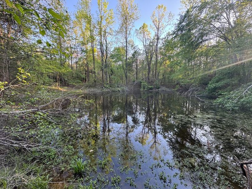 Tallahatchie 44 Newman (Crowden) Wide-7