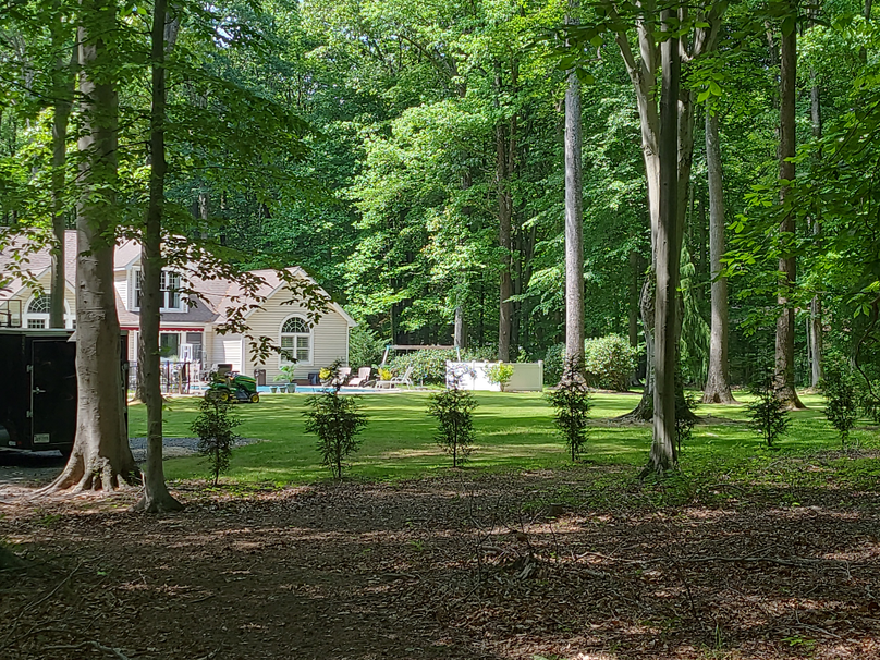 26.48ac_McKenneyLn_QAnnes_32