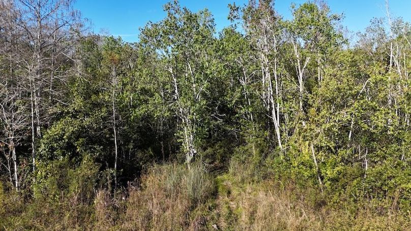 DJI_20260108102217_0106_D