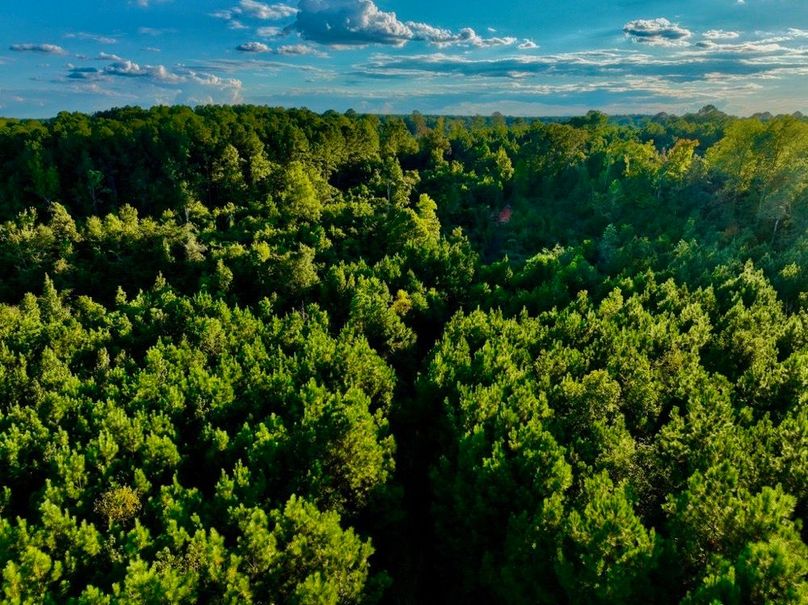 54BD6725-7B5E-4869-9CEE-9AD497E577D7_1_105_c-2