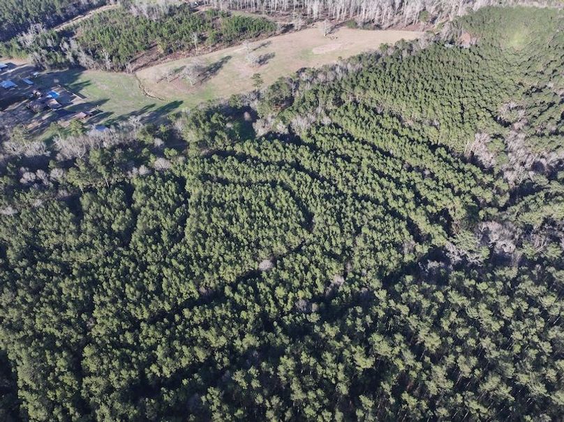 dji_fly_20260216_151952_0079_1771284235230_photo