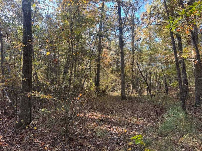 Jeff 11720251111_0209