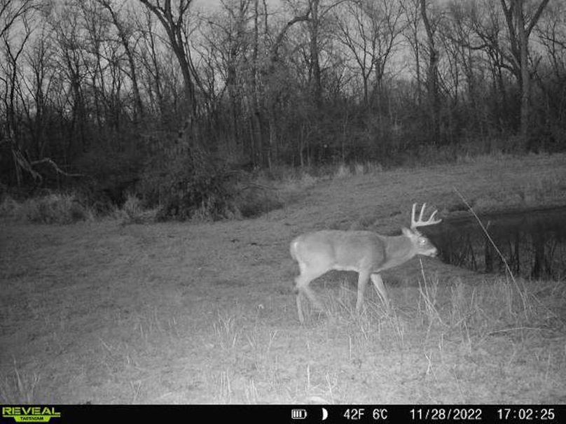 Copy of Trail photos.45