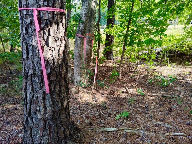 IMG_20250914_164620505