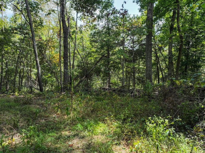 DJI_20250904124810_0592_D