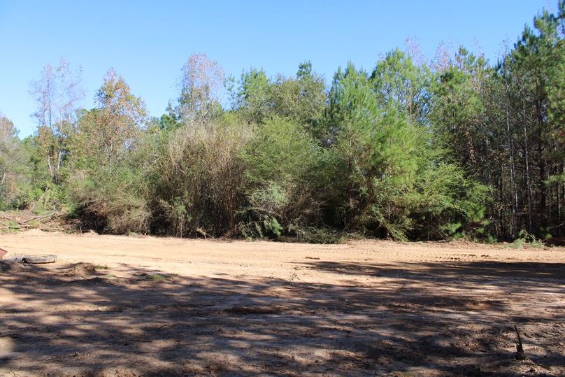 99DD6C06-94FA-4C8E-A75F-1E1534A57A90_1_105_c