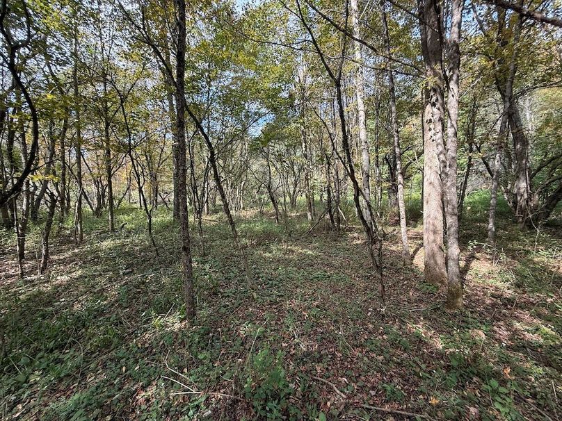 Tioga_30_Flanner Photo 27