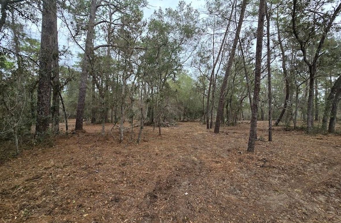 5ac, Marion, Andrew Goering02