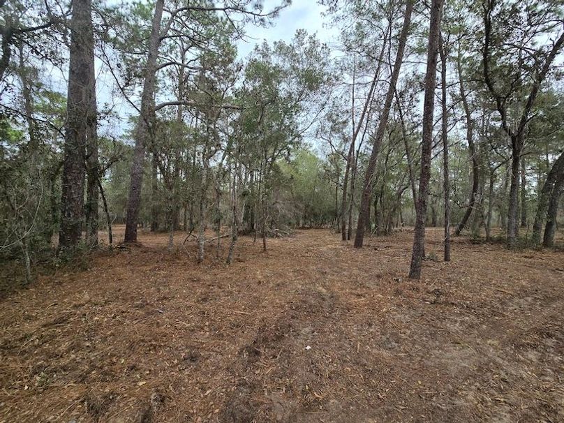 5ac, Marion, Andrew Goering02