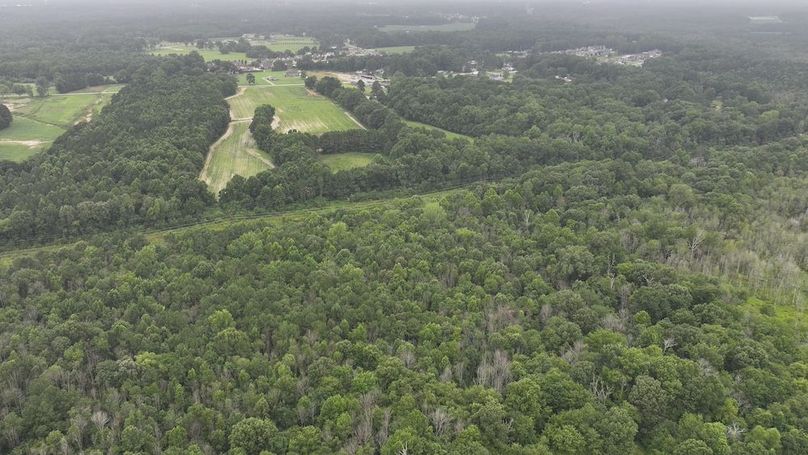 DJI_20250715002323_0158_D