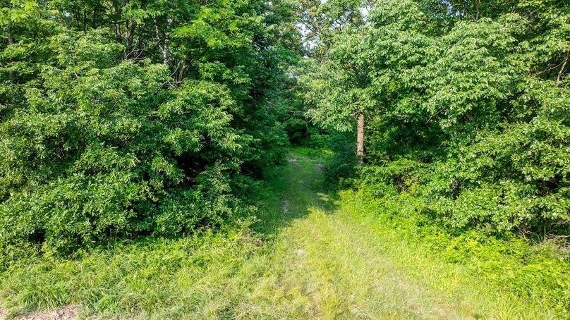 DJI_20250610045528_0011_D