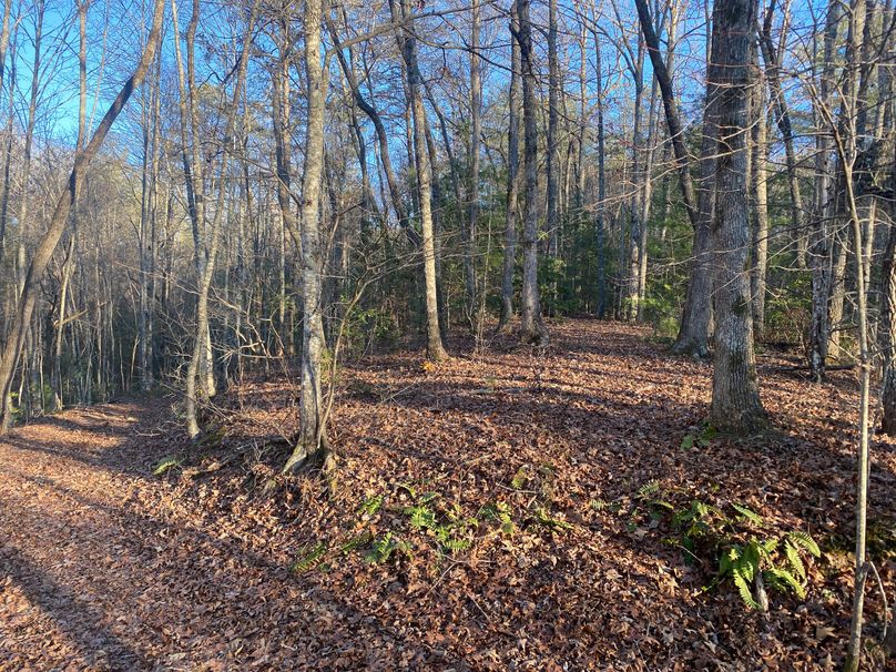 Cherokee 69.74 Stiles-08