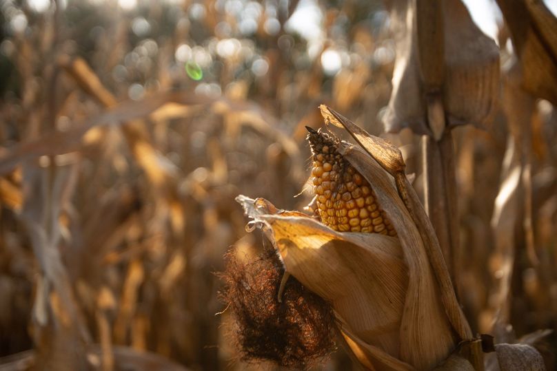 FREMONT CO. IA 158.32_68