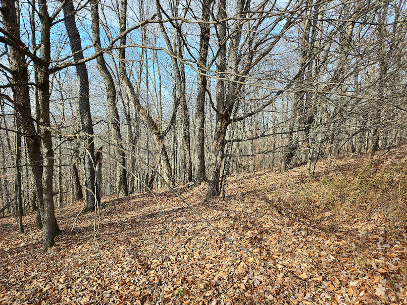 photo_ded26664-f108-4599-8430-a46eb740dd12