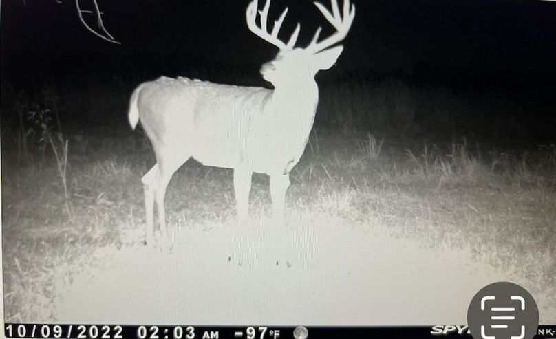 Screenshot 2026-02-16 at 10.45.21 AM